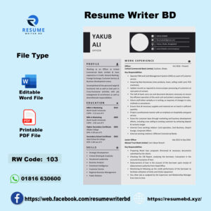 Professional CV Writing