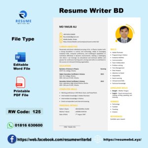 CV Design CV Template